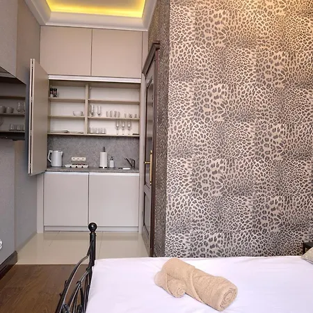 Stawowa Class * 卡托维兹